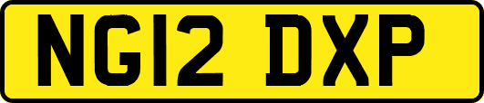 NG12DXP