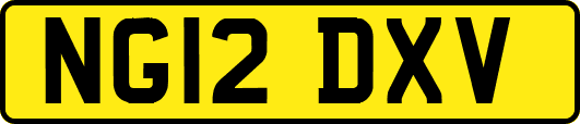 NG12DXV