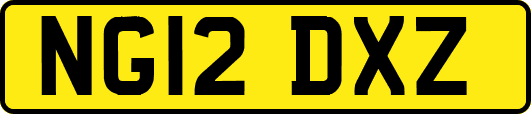 NG12DXZ