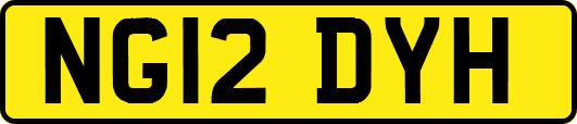 NG12DYH