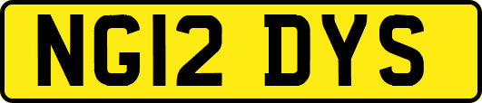 NG12DYS