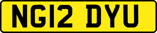 NG12DYU