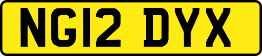 NG12DYX