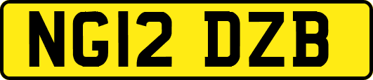 NG12DZB