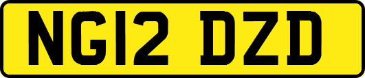 NG12DZD