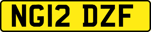 NG12DZF