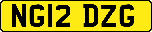 NG12DZG