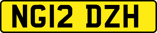 NG12DZH