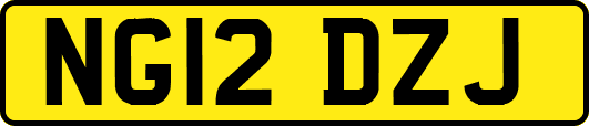 NG12DZJ