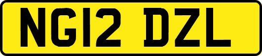 NG12DZL