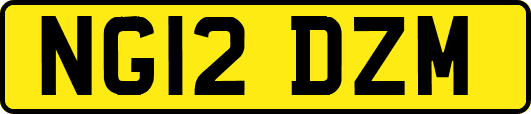 NG12DZM