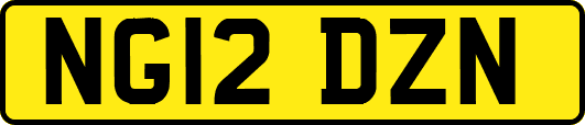 NG12DZN