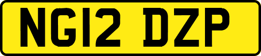 NG12DZP