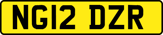 NG12DZR