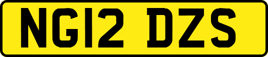 NG12DZS