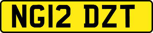 NG12DZT