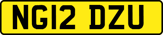 NG12DZU