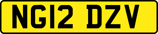 NG12DZV