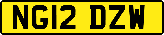 NG12DZW