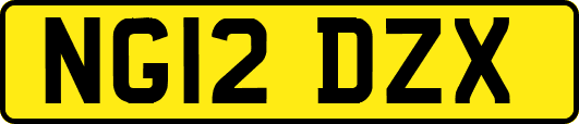 NG12DZX