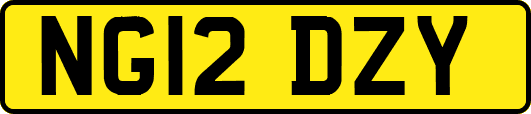 NG12DZY
