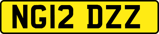NG12DZZ