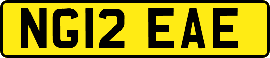 NG12EAE