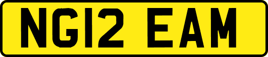 NG12EAM
