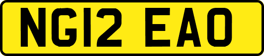 NG12EAO