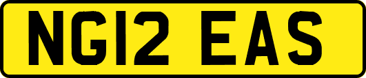 NG12EAS