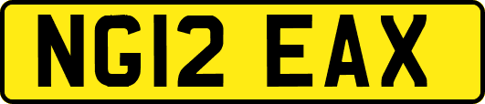 NG12EAX