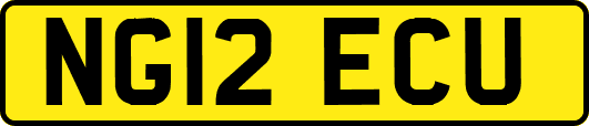 NG12ECU