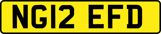 NG12EFD