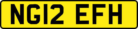 NG12EFH