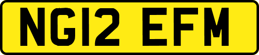 NG12EFM