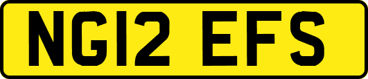NG12EFS