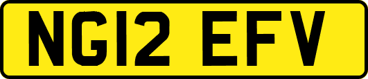 NG12EFV