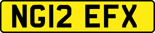 NG12EFX