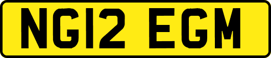 NG12EGM