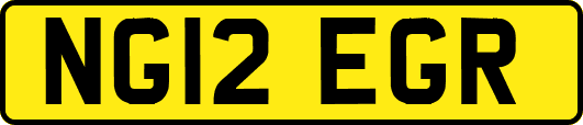 NG12EGR