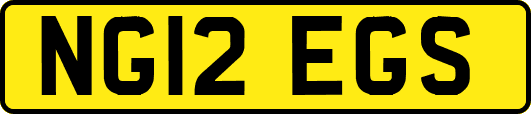 NG12EGS