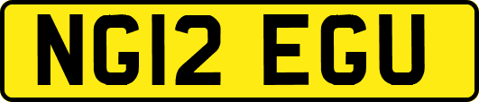 NG12EGU