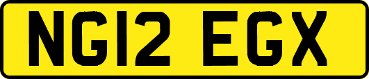 NG12EGX