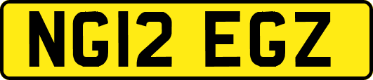 NG12EGZ