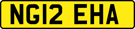 NG12EHA