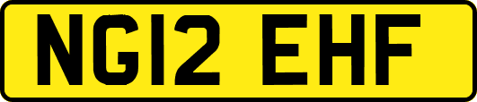 NG12EHF