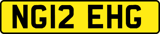 NG12EHG