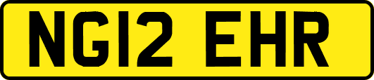 NG12EHR