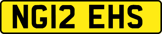 NG12EHS