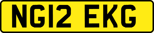 NG12EKG